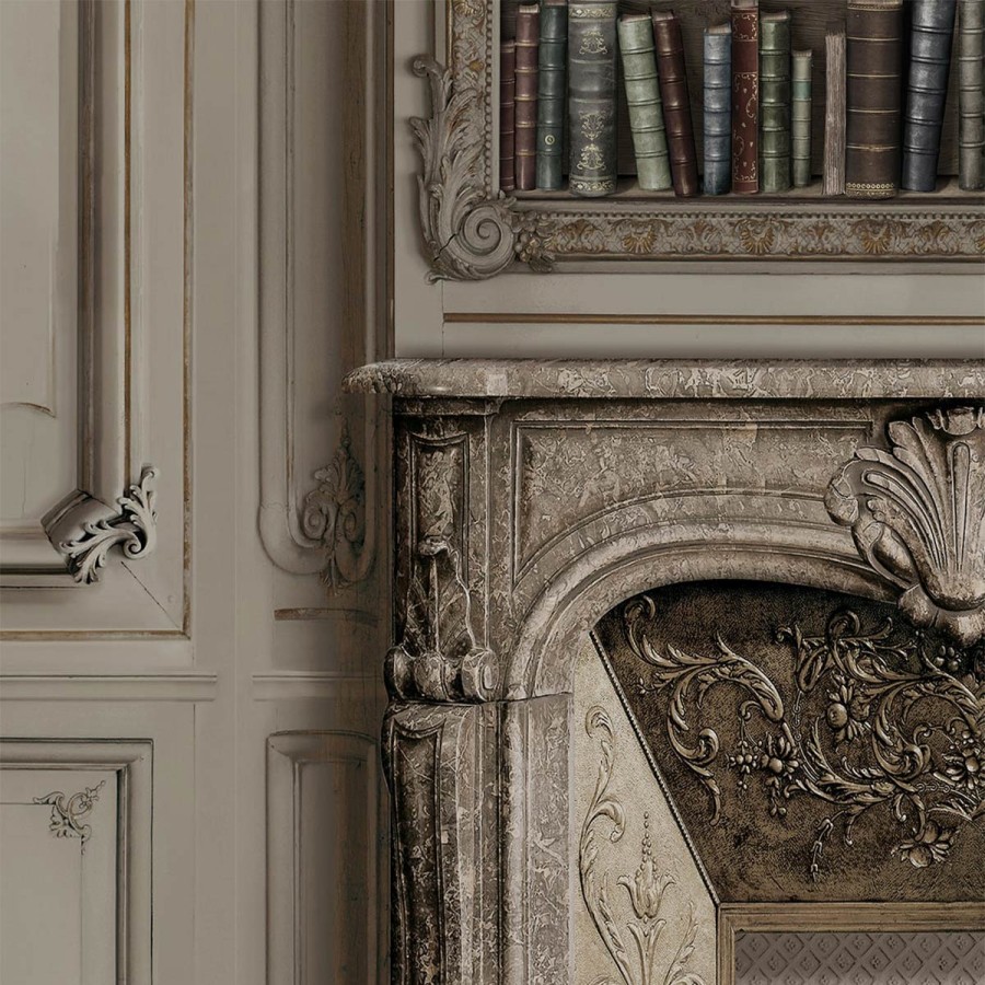 Fantasy Wallpapers Etoffe | Boiserie Haussmannienne Bronze Bibliotheque Panel - Koziel