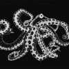 Fantasy Wallpapers Etoffe | Octopus X-Ray Panel - Coordonne