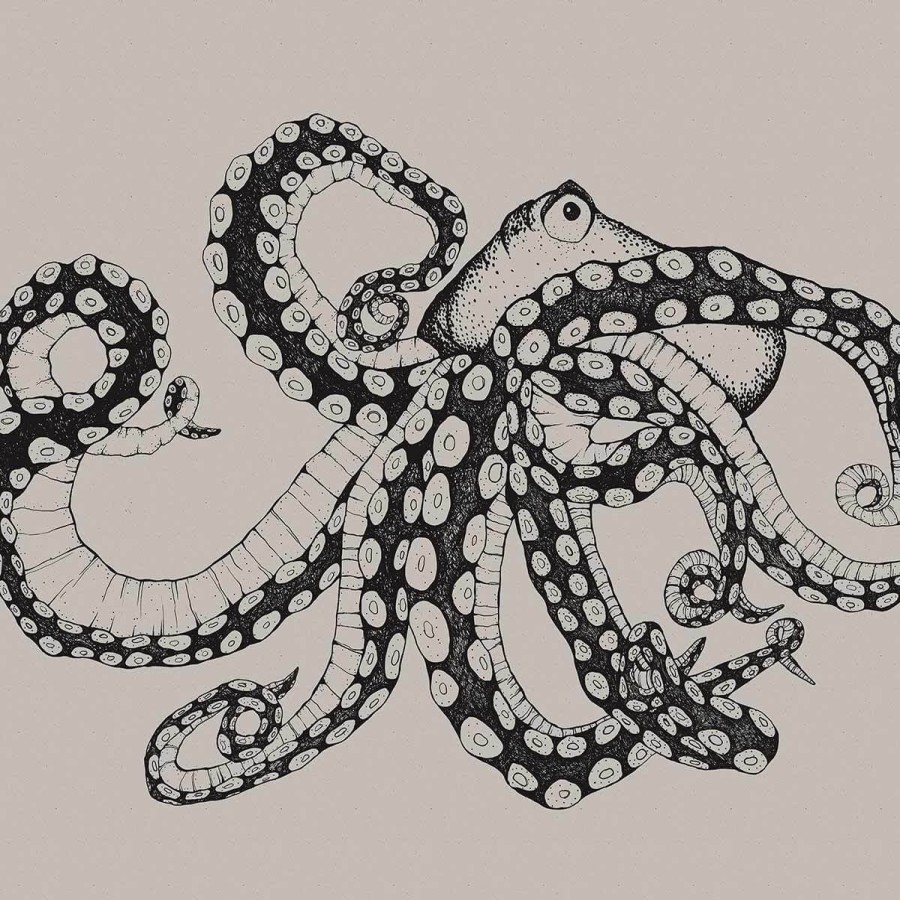 Fantasy Wallpapers Etoffe | Octopus X-Ray Panel - Coordonne