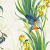 Floral Wallpapers Etoffe | Halcyon Wallpaper - Osborne And Little